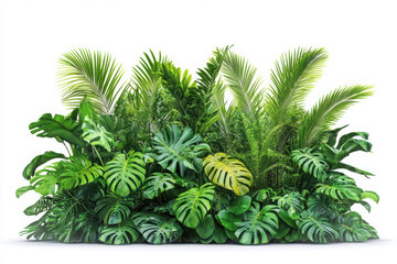 Lush green tropical foliage display on white background