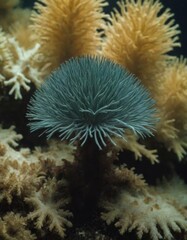 Colorful underwater coral reef habitat showcasing unique marine life during daylight hours in a tropical ocean environment