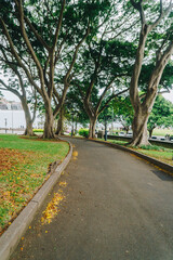 Obraz premium Dawes Point Reserve pathway in Sydney Harbour, NSW, Australia
