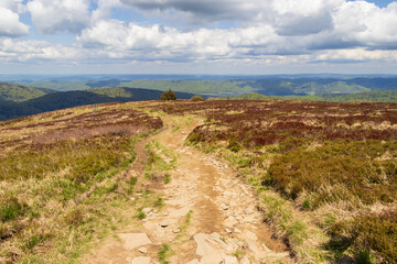 A scenic landscape featuring a winding dirt path leading through lush greenery and rocky terrain, set against a backdrop of distant hills and dramatic cloud formations.