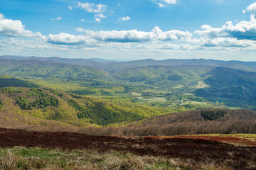 Naklejka premium A panoramic view of the Bieszczady Mountains showcasing lush greenery and rolling hills under a bright blue sky with fluffy clouds, perfect for outdoor enthusiasts and nature lovers.