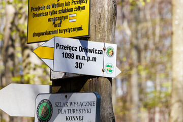 Directional signs in Bieszczady Mountains guide hikers to Orłowicz Pass, indicating a height of 1099 m above sea level and providing essential information for outdoor enthusiasts.