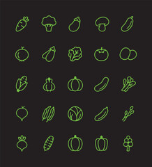 Fresh Organic Vegetables Line Icon
