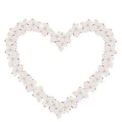 White hydrangea flowers watercolor frame. Hand drawn delicate flower in the shape of a heart on isolated white background. Botanical illustration. Ideal for wedding and birthday cards