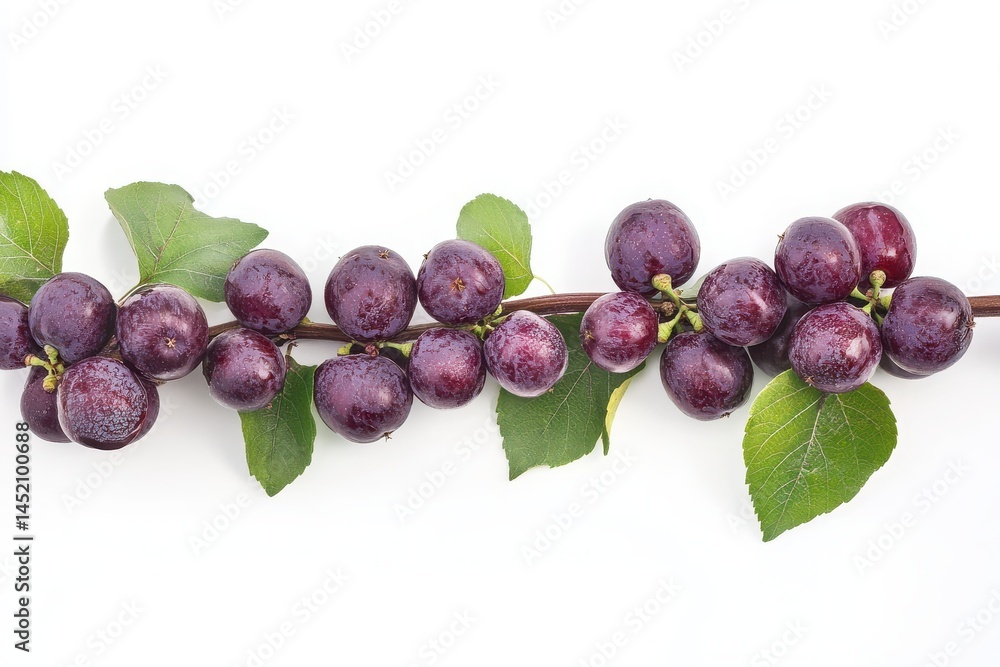 Poster white backdrop showcasing apple grape row.