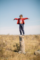 The boy climbed onto a tall tree stump and opened his arms