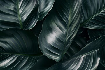 Deep green leaves, a detailed close-up botanical pattern.