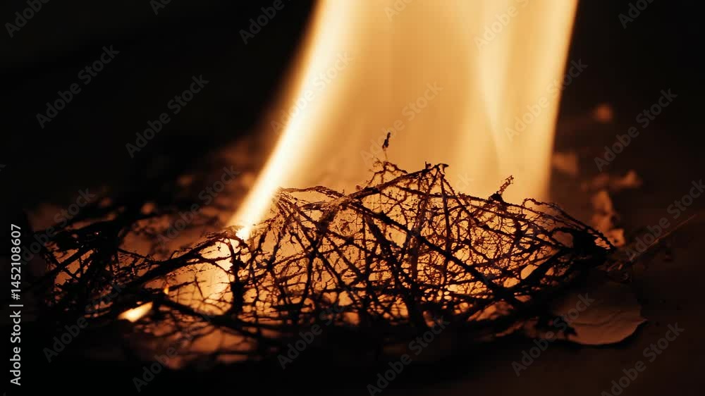 Poster a close-up view of flames consuming flammable materials, creating a dramatic display of light and he