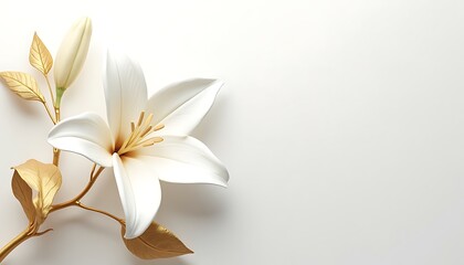 White lily flower with gold accents elegant floral design for backgrounds and wallpaper decoration art 3d render