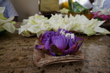 机上に置かれた紫の蓮