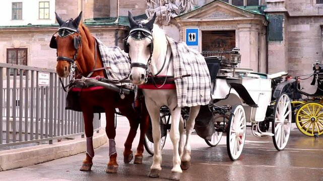 Vienna, Austria - April 7th 2025: Horse Drawn Cart next to St Stephen's Cathedral
