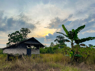 Old Wooden Shelter in Rural Nature Surrounded by Grass and Trees