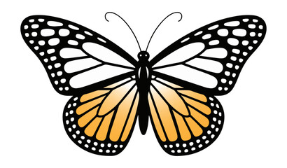 Monarch Butterfly Illustration