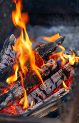 Burning wood close up