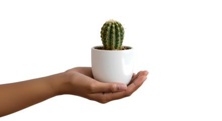 A hand cradles a small, potted cactus against a stark black background, highlighting the plant's delicate nature. Earthy tones accent its texture.