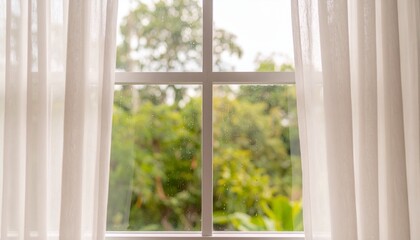 窓辺の美しい植物