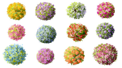 Vertor set of spring blossom tree,blooming plants top view for landscape plan,schematic layout,eco environment concept design,watercolor sakura illustration