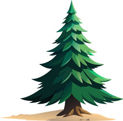 A Norway Spruce (Picea abies), with dense, dark green needles and a classic conical shape, isolated on a white background. 