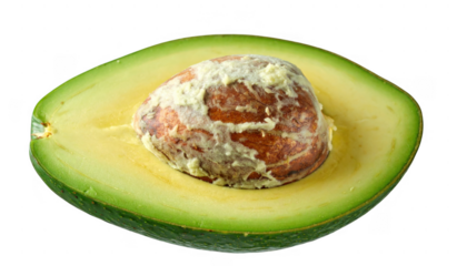 Fresh Avocado Halved with Seed Exposed and Creamy Texture Visible