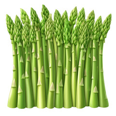 Fototapeta premium Vibrant green asparagus spears stand tall against black backdrop