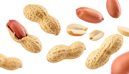 Flying Delicious Peanut Cut Out  