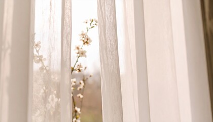 美しい窓辺の観葉植物