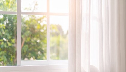 Fototapeta premium 窓辺の美しい観葉植物、美しい窓辺