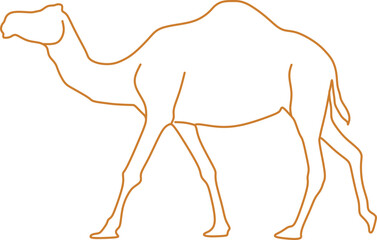Camel Outline Illustration