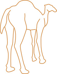 Camel Outline Illustration