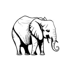 Monochrome depiction of a robust elephant standing, outlined for creative uses