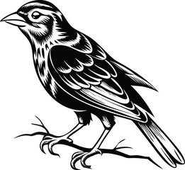 Obraz premium Minimalist Black and White Bird Silhouette with Stylized Feathers 