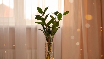 美しい窓辺の観葉植物