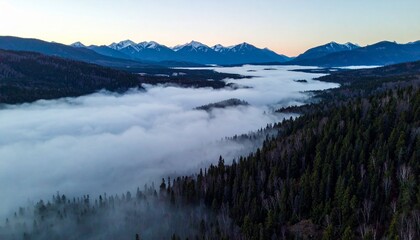 uN amanecer, revelando una impresionante vista de la niebla que se arremolina entre imponentes y densos bosques de pinos y distantes y majestuosas monta&ntilde;as nevadas. 