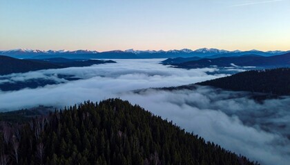 Fototapeta premium uN amanecer, revelando una impresionante vista de la niebla que se arremolina entre imponentes y densos bosques de pinos y distantes y majestuosas montañas nevadas. 