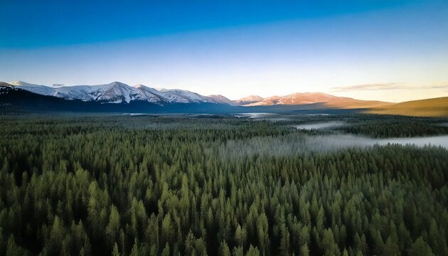 uN amanecer, revelando una impresionante vista de la niebla que se arremolina entre imponentes y densos bosques de pinos y distantes y majestuosas monta&ntilde;as nevadas. 