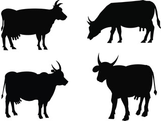 Cow silhouettes