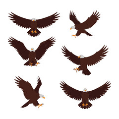 Fototapeta premium Flying Bald Eagles Set with Spread Wings Vector