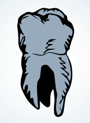 The layout of tooth. Vector drawing