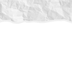 Fototapeta premium Realistic Paper Shape Header