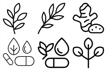 Set of Medicinal herbs line icon, herbs medicine pictograms vector
