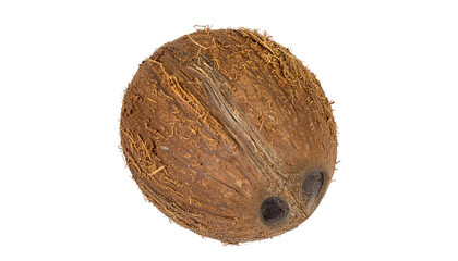 coconut isolated on transparent background, png