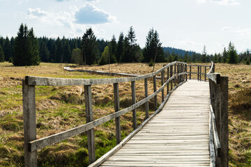 Wooden footpath running through Bozi Dar peat bog trail in Bozi Dar, Czech Republic