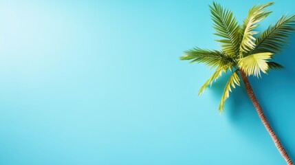 A vibrant tropical setting featuring a lush palm tree against a bright blue background, ideal for evoking relaxation and summer vibes in visuals.