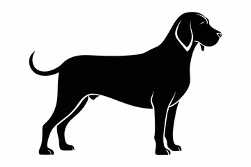 bloodhound sihouette black vector