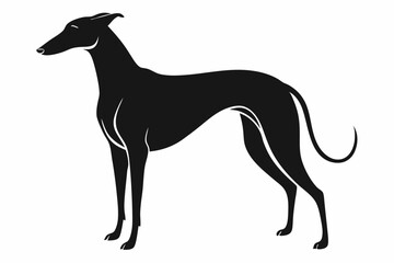 greyhound sihouette black vector