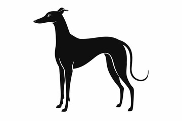 greyhound sihouette black vector
