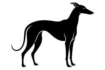 greyhound sihouette black vector