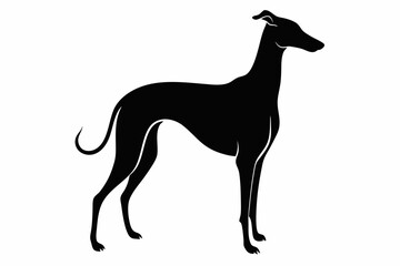 greyhound sihouette black vector