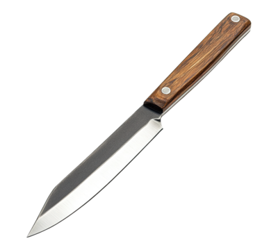 A knife with a wooden handle is shown on a white background