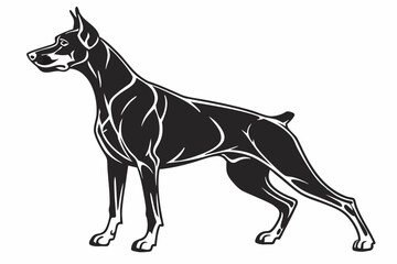 Obraz premium doberman sihouette black vector